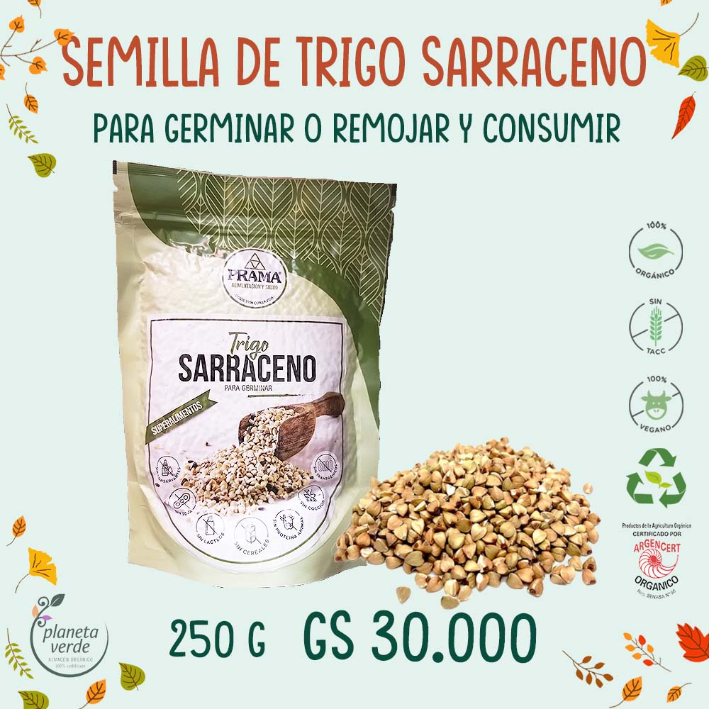 Trigo Sarraceno en Grano SECOFRUT - Semillas para cocinar