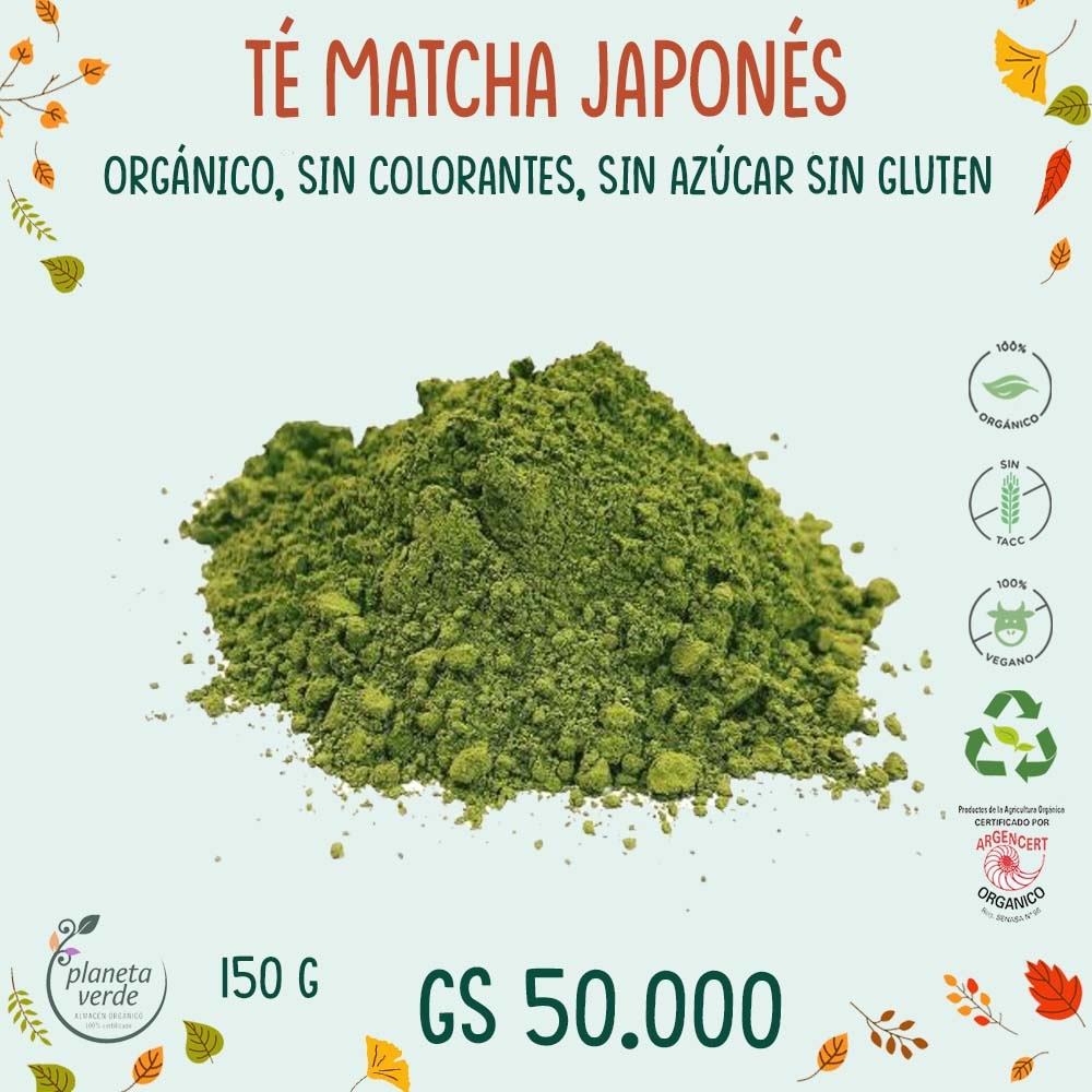 Té Matcha Puro Japonés Orgánico - Planeta Verde