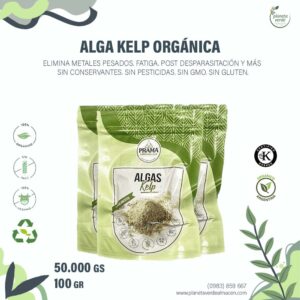Alga Kelp Orgánica