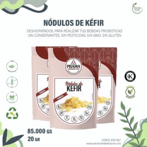 Nódulos de Kéfir