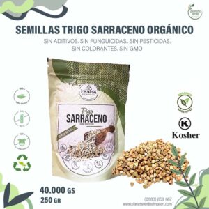 Semillas de Trigo Sarraceno Orgánico