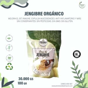 Jengibre Orgánico