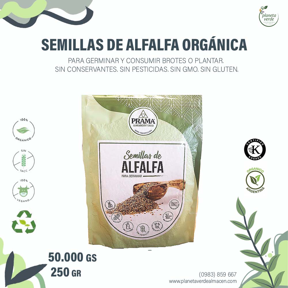 Semillas de Alfalfa (Para brotes)