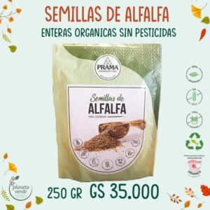 Semillas de Alfalfa (Para brotes)