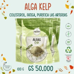Alga Kelp Orgánica
