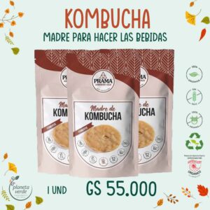 Kombucha Madre para cultivo