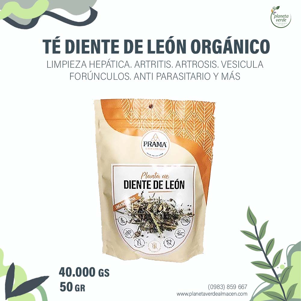 Té Diente de León Orgánico