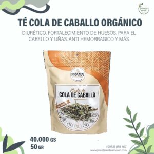 Té de Cola de Caballo Orgánico
