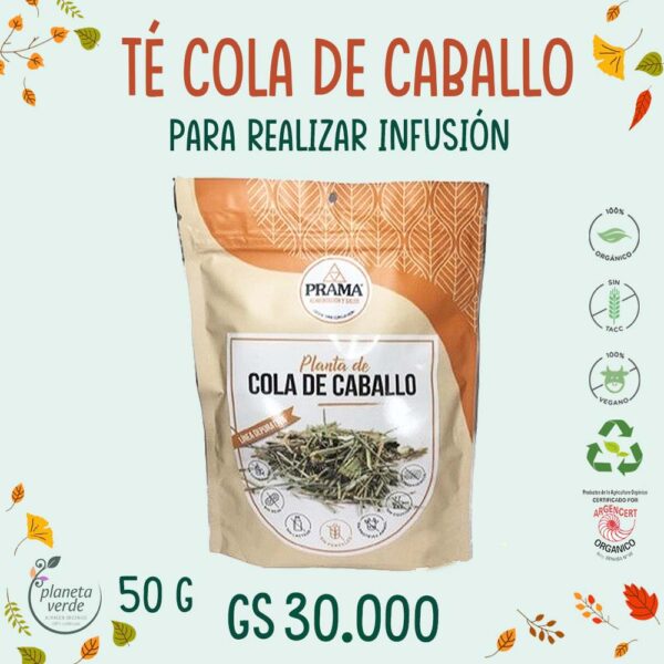 Té de Cola de Caballo Orgánico