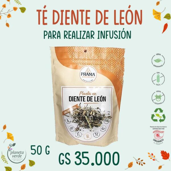 Té Diente de León Orgánico - Imagen 2