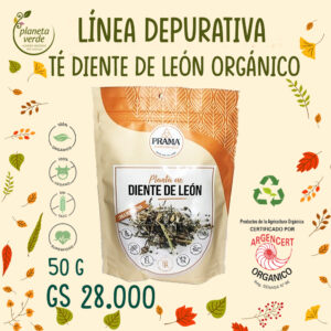 Té Diente de León Orgánico