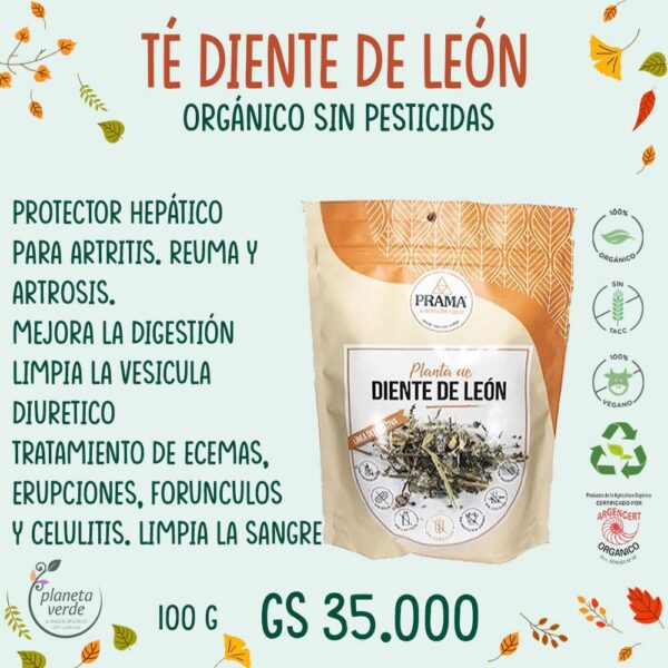 Té Diente de León Orgánico