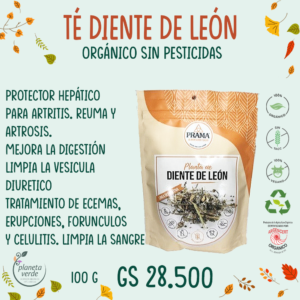 Té Diente de León Orgánico