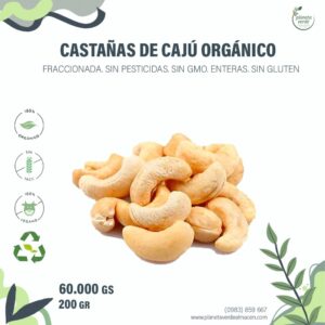 Castañas de Cajú Orgánicas
