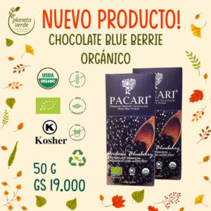Chocolate orgánico en barra BlueBerry (Arándanos)