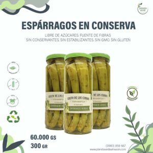 Espárragos Verdes Orgánicos en Conserva