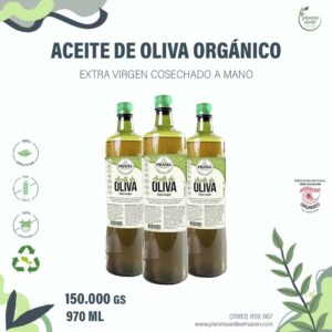 Aceite de Oliva Orgánico Extra Virgen (prensado a mano)