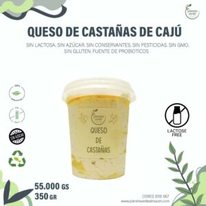 Queso de Castañas de Cajú