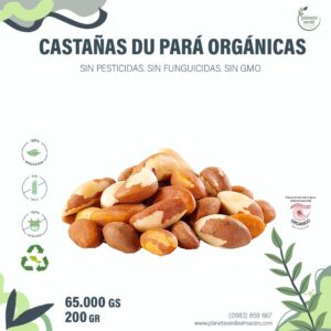 Castañas du Pará Orgánicas