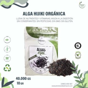 Alga Hijiki Orgánica