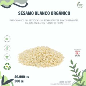 Sésamo Blanco Orgánico