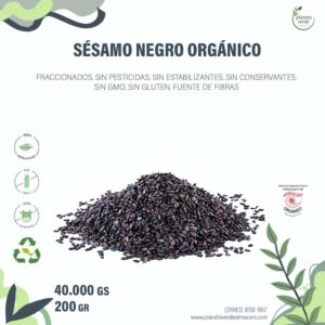Sésamo Negro Orgánico