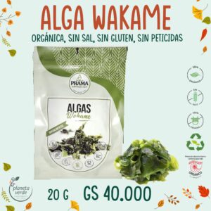 Alga Wakame Orgánica