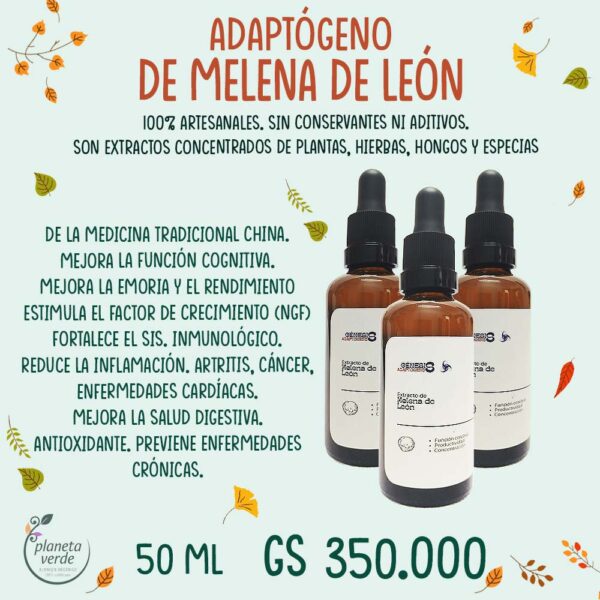 Extracto de Melena de León (adaptógeno)
