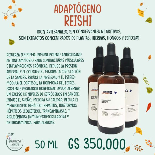 Extracto de Reishi (adaptógeno)