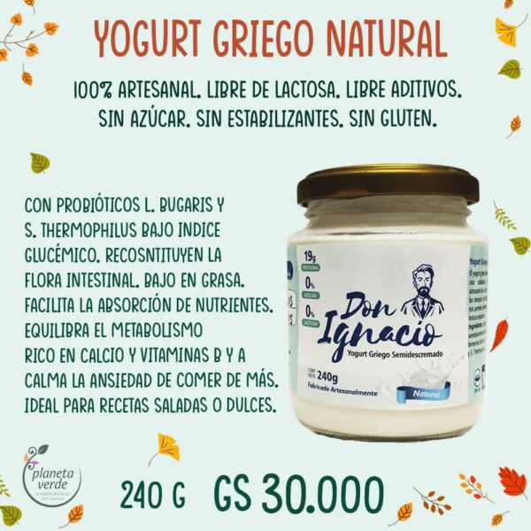 Yogurt Griego sin Lactosa. Natural