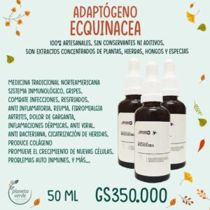 Extracto de Equinacea (adaptógeno)