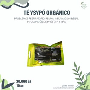 Té Ysypo Orgánico (Aritolachia triangularis)