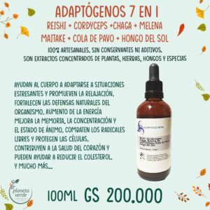 7 en 1 Adaptógeno ( Reishi, Cordyceps, Chaga, Melena de Leon, Maitake, Cola de Pavo y Hongo del Sol )