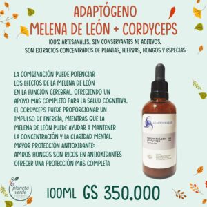 Extracto Melena de León + Cordyceps