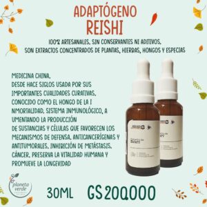 Extracto de Reishi (adapógeno)