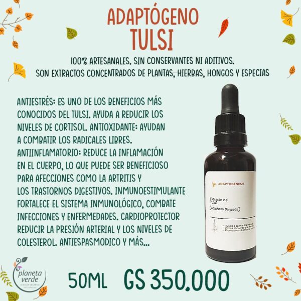 Extracto de Tulsi (adaptógeno)