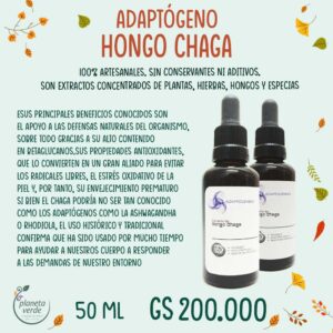 Adaptógeno Hongo Chaga