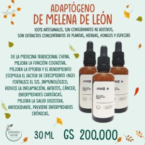 Extracto de Melena de León (adaptógeno)