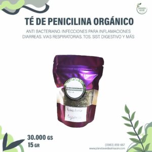 Té de Penicilina Orgánica