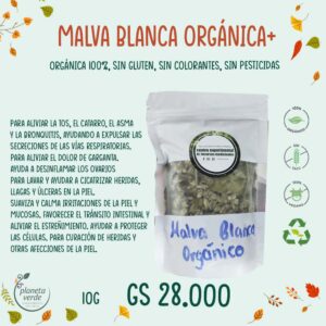 Malva Blanca Orgánica