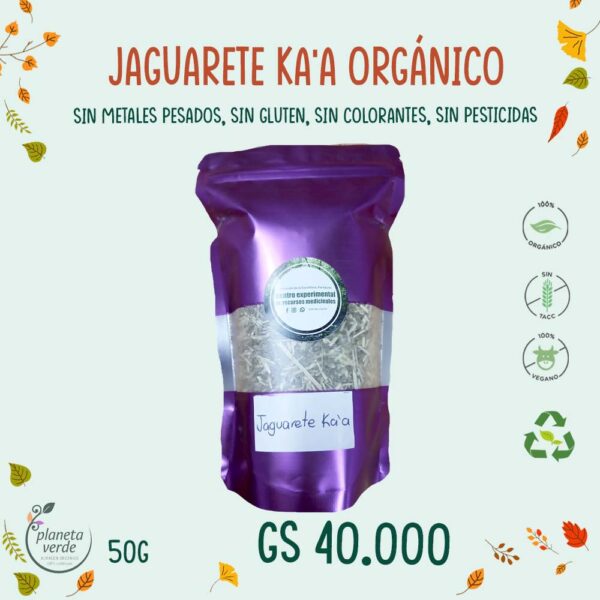 Jaguarete Ka'a Orgánico Nacional