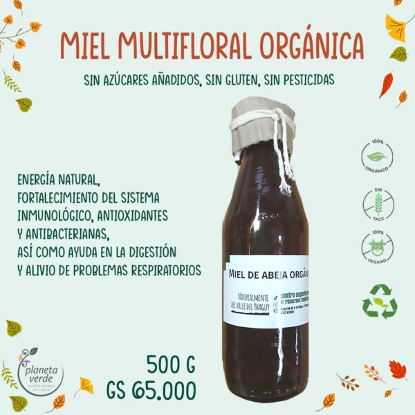 Miel Multi Floral Orgánica (botella)