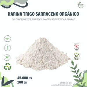 Harina de Trigo Sarraceno Orgánico