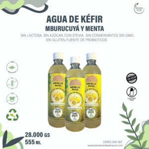 Agua de Kéfir. Mburucuyá y Menta