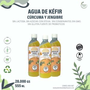 Agua de Kéfir. Cúrcuma y Jengibre