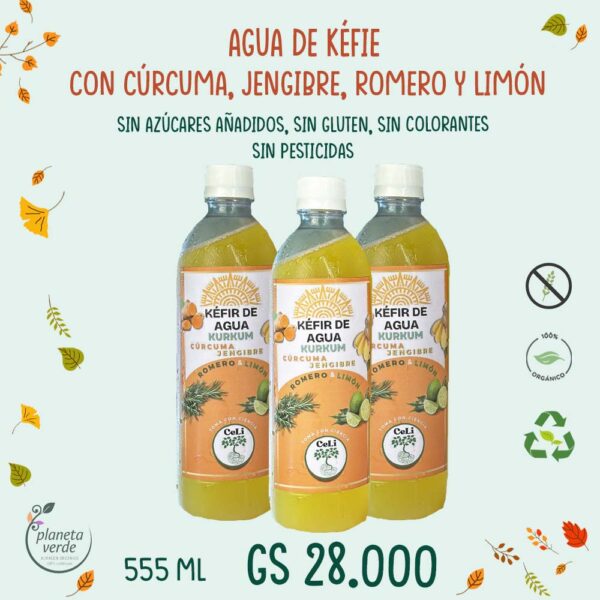 Agua de Kéfir con Cúrcuma, Jengibre, Romero y Limón