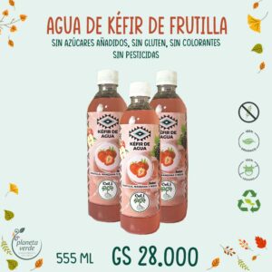 Agua de Kéfir de Frutillas