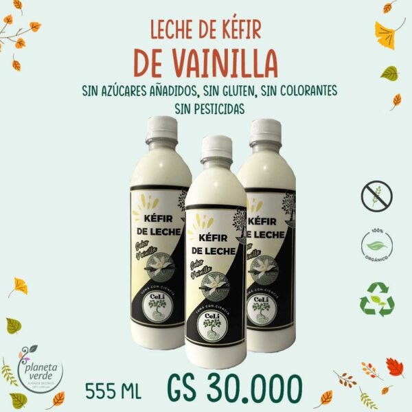 Leche de Kéfir con Vainilla