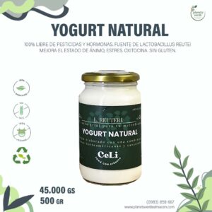 Yogurt Natural Bacillus