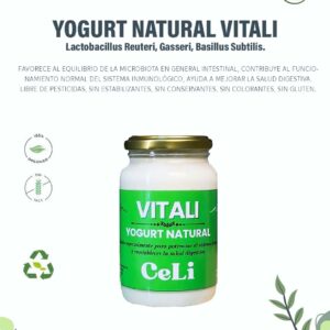 Yogurt Natural Vitali